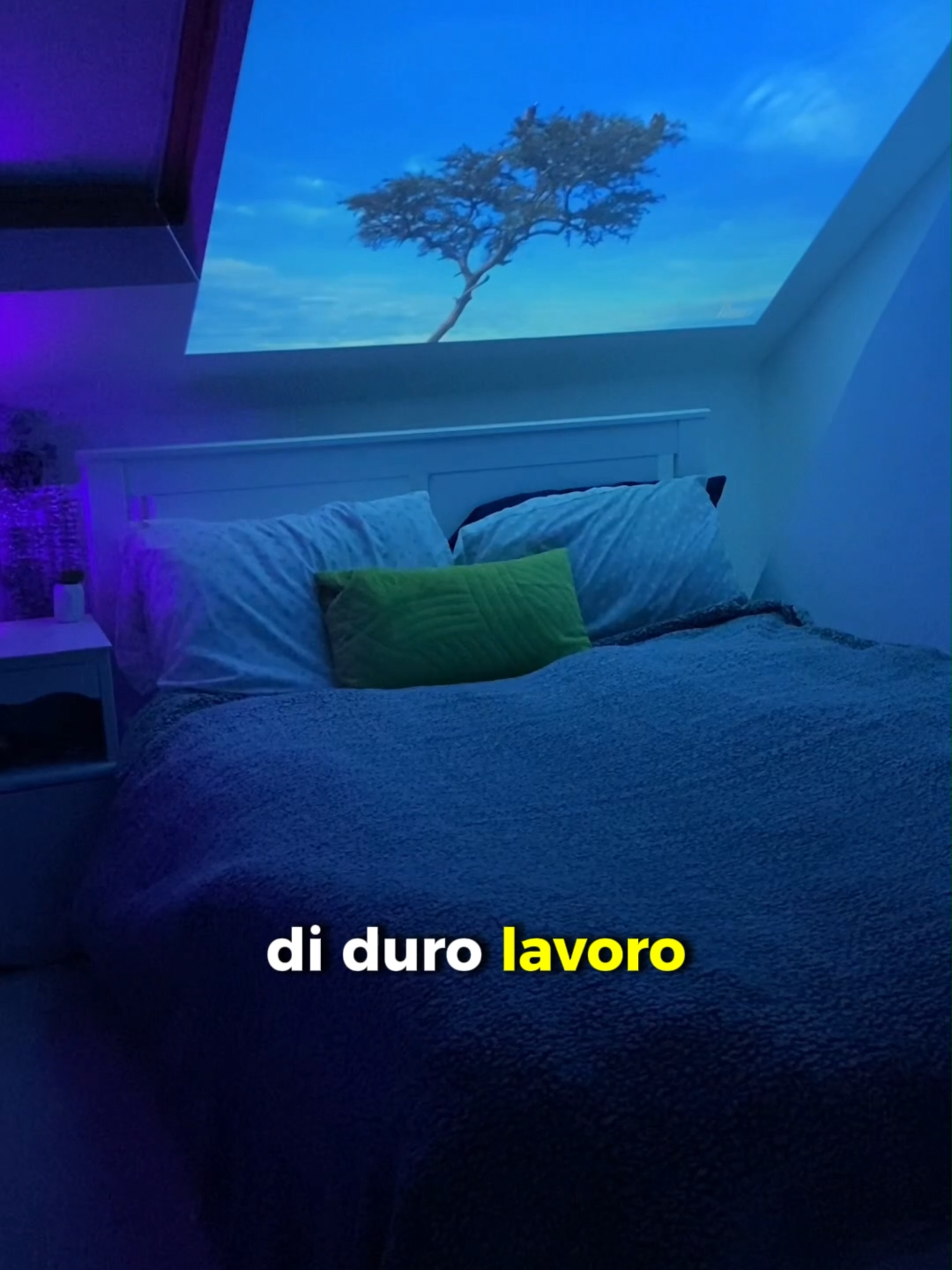 Basta TV per favore 😪 #proiettore4k #lumipro