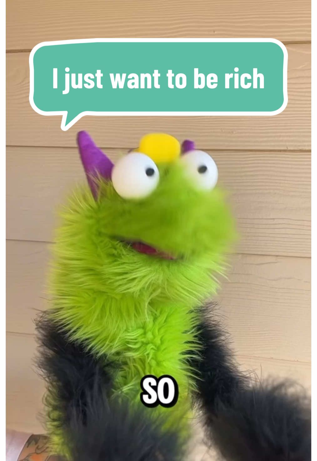 I just want to be rich! #funnyvideo #workbelike #workfromhome #puppetsoftiktok #plushiesoftiktok #worklife 