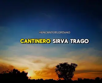 Parte 121 | 🍺🥃 @Vitico_Castillooo  #flypシ #fypシ゚viral #creatorsearchinsights #musicallanera 