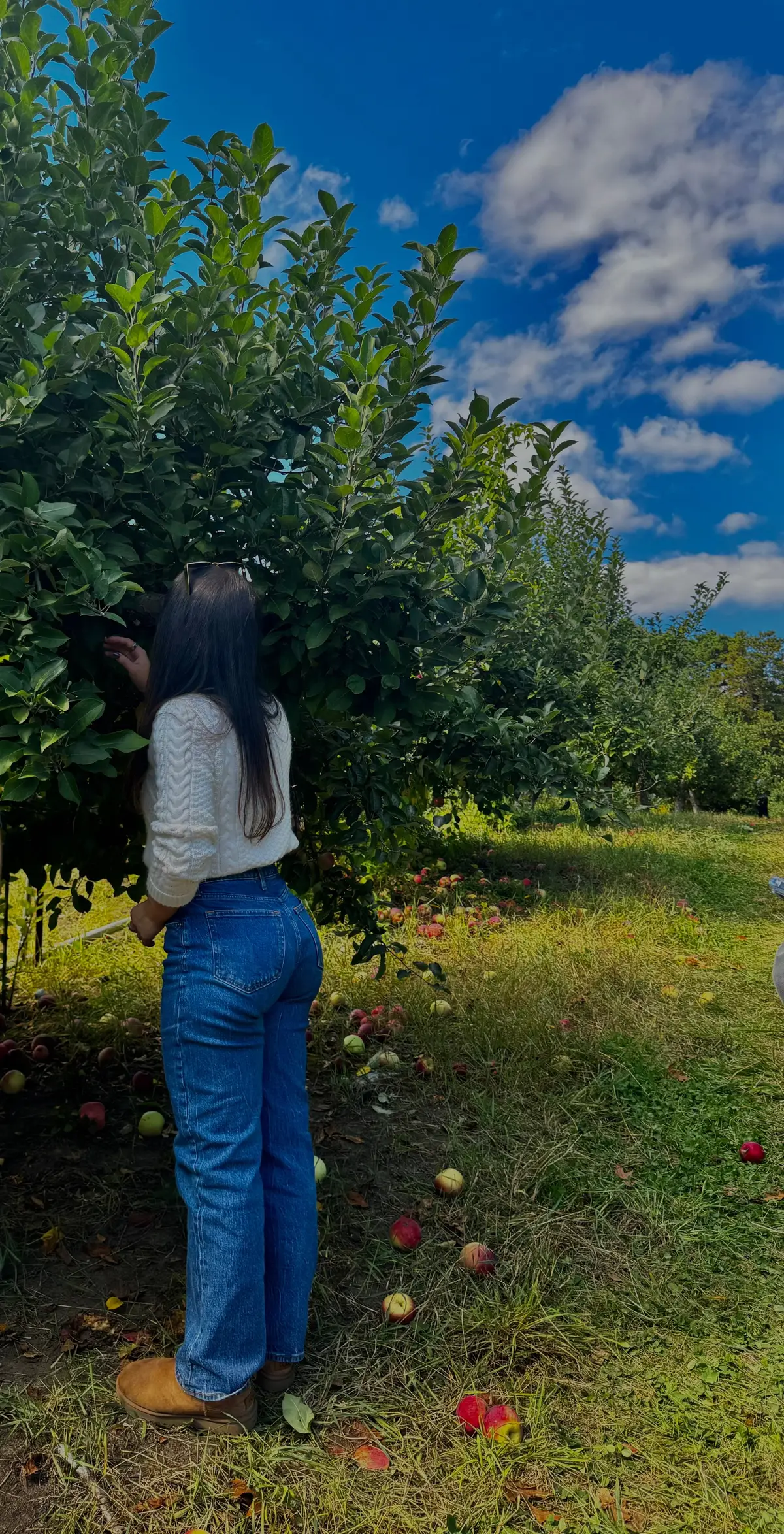 Nothing like apple picking then going back with your friends and making a home made apple  pie 🥧🫶🏼🥹  #fall #rhodeisland #applepkcking