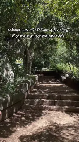 මං ආසම නිස්කලංක බව විඳින්න..#rathnapuredhammaransipodihamuduruwo #panaduredhammanandahimi #CapCut #fyp #dhammaransipodihamuduruwo #viraltiktok #5M #viraltiktok #need #kandaketiyedhammarathanahimi #need #fypシ゚viral #kandaketiyedhammarathanahimi #srilanka #fyppppppppppppppppppppppp #foryou 