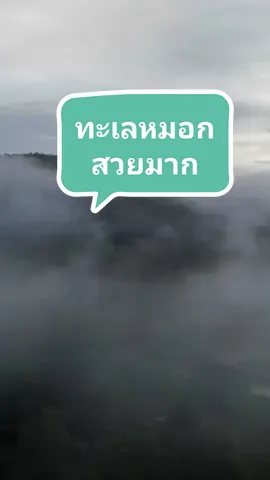 ทะเลหมอก เช้าๆ สวยมาก #ทะเลหมอก  #สวยมาก  #สวย  #สตอรี่  #สตอรี่ความรู้สึก  #เที่ยวไปเรื่อย 