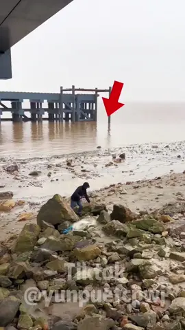 Every year, many people come to Qiantang River to check in. Look at this person by the Qiantang River. The tide is rising here. It looks very dangerous.#qiantangriver#China#fyp#viral#ocean#flood @YunPu  @YunPu  @YunPu @Nature @oceanlife-fishing 