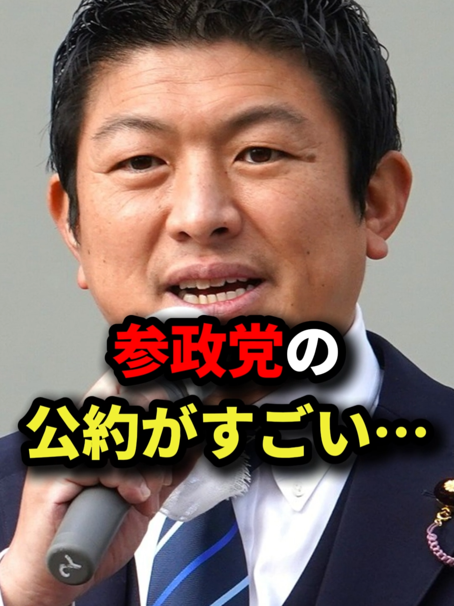 参政党の公約がすごい…#参政党 #衆議院選挙