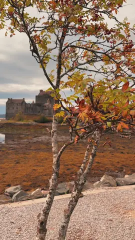 Eilean Donan Castle during autumn is just so magical ✨🏰 #eileandonancastle #castle #Scotland #highlands #isleofskye #scottishtiktok #scotlandtravel #sightseeing #castlesofscotland #autumn #october #bermonths #sweaterweather #cozylife #fallvibes #autumnvibes #fallaesthetic #octobermood #fallleaves 