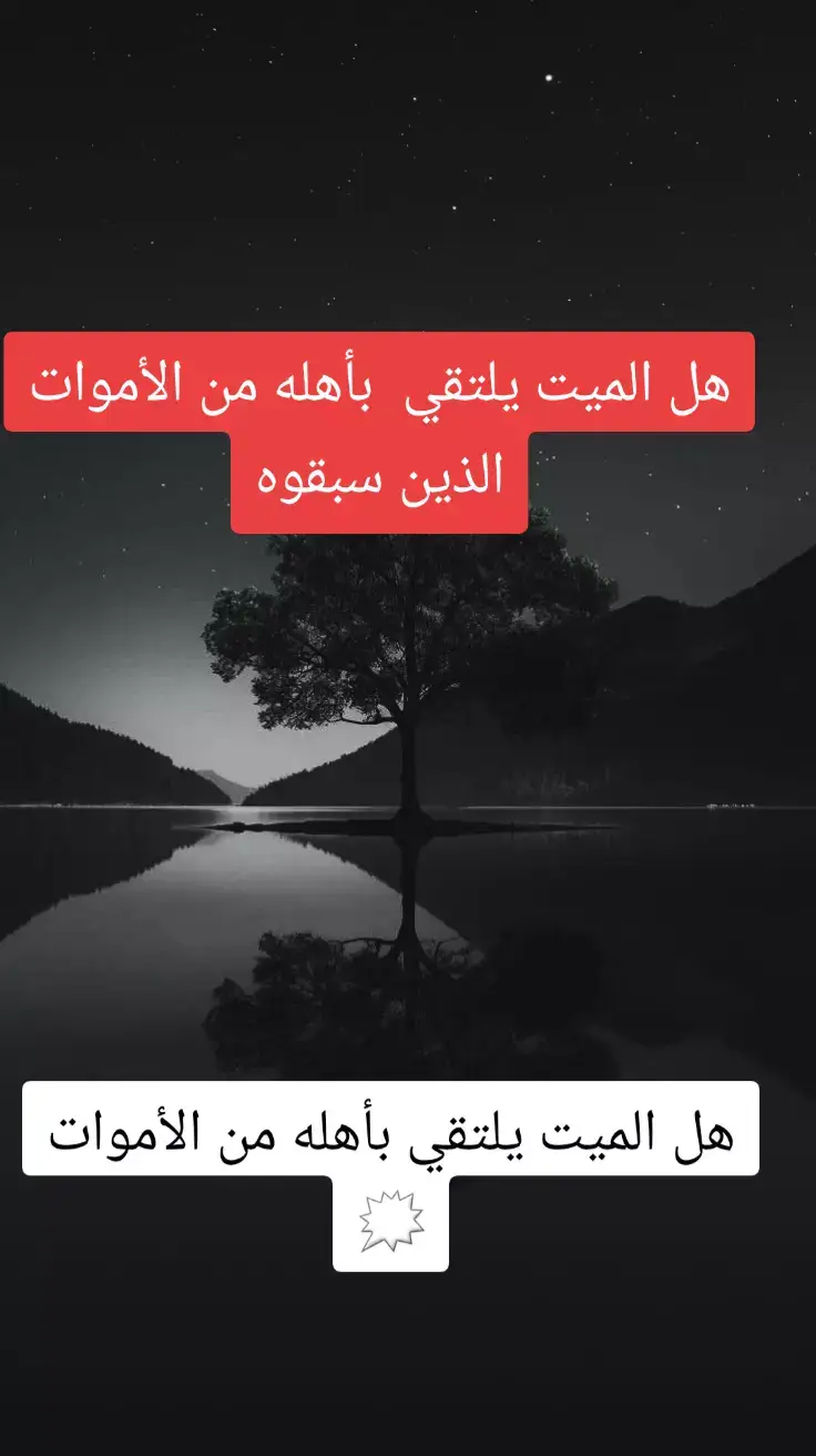 هل الميت يلتقي بأهله من الأموات الذين سبقوه#مسلم #اكسبلورexplore  #حديث #معلومات_دينية_و_القرأن_الكريم❤️  #لا_اله_الا_الله #هاشتاقات_للشيوخ  #اللهم_صلي_على_نبينا_محمد #هاشتاقات_للشيوخ #صلوا_على_رسول_الله🤲🕋 #foryoupage❤️❤️ #اللهم_صلي_على_نبينا_محمد 