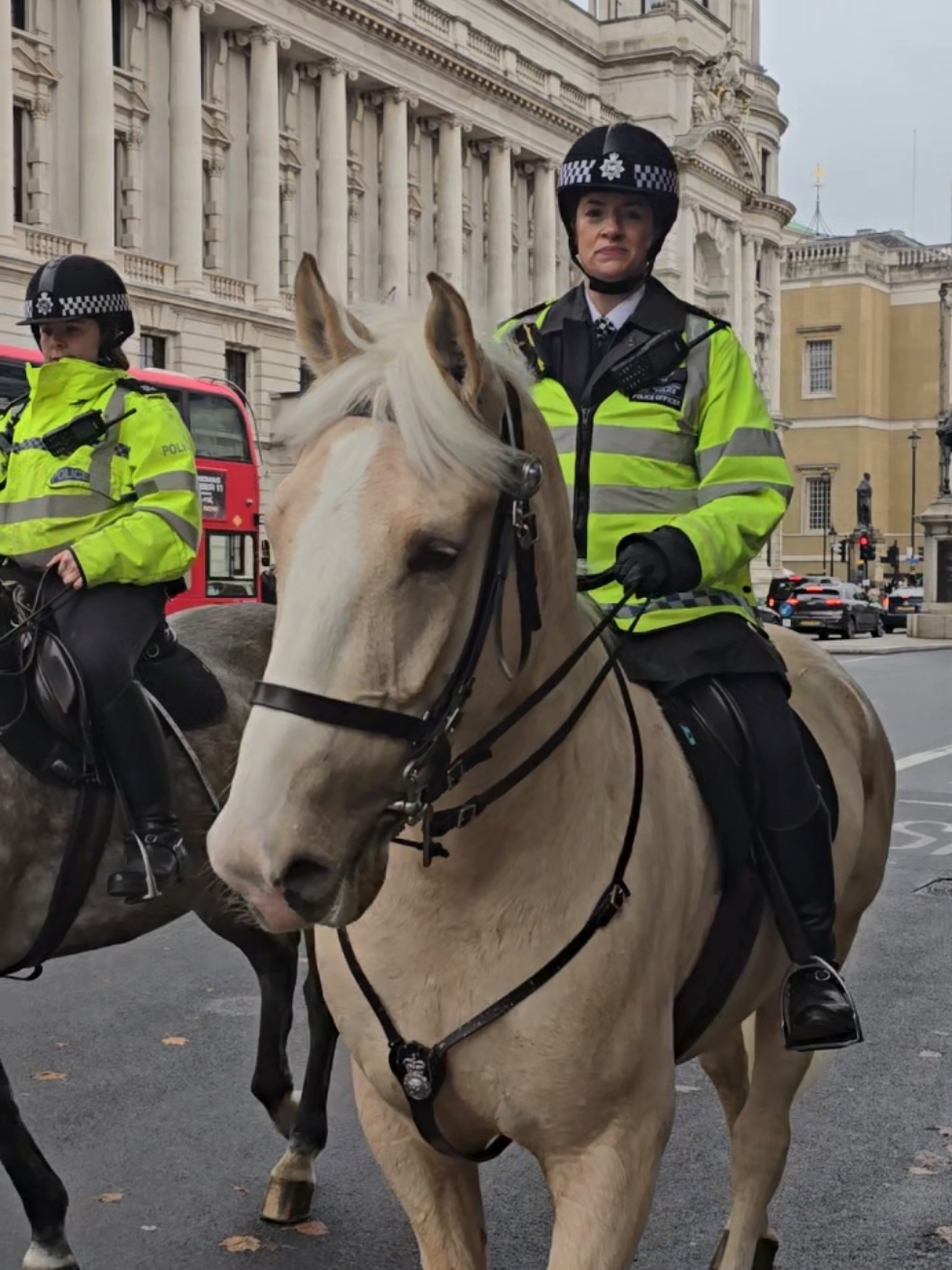 #kingsguard #armedpolice #horseguardsparade #london #tourist #horse #metpolice