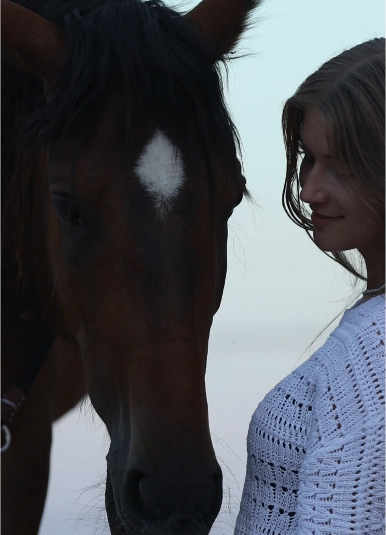 my love ♥️ #pferdefotografie #horse #pferd #horsesofinstagram #pferdeliebe #horsephotography #equestrian #pferdemädchen #pferde #instahorse #horses #pony #photography #equinephotography #equine #dressage #horselove #fotografie #equestrianlife #spanishhorse #pferdeshooting #photooftheday #pferdeschoenheiten #tierfotografie #herzenspferd #pferdeschönheiten #Love #fy #foryou #picoftheday #purarazaespañola #lusitano #lusitanohorse #pferdevideo