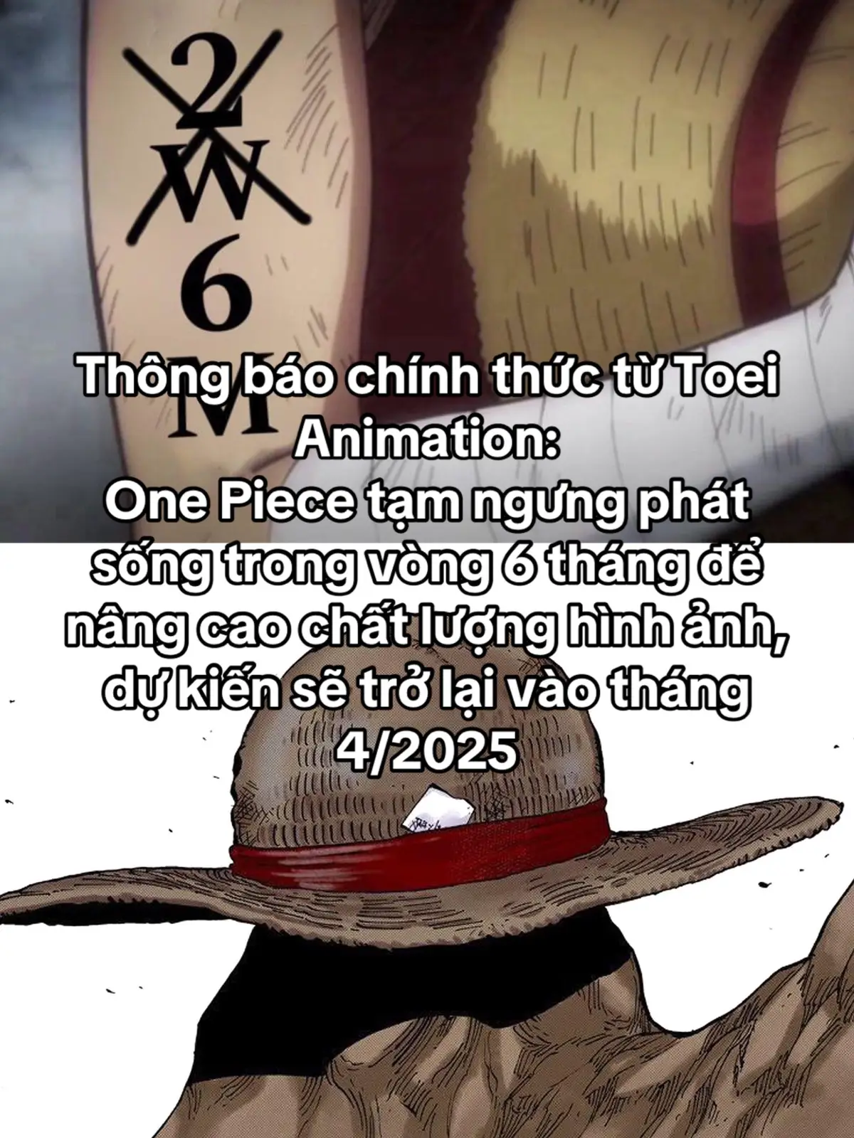 #onepiece #snow_anime❄ #ttasqd #ad🐧_squad🌀 #xuhuong #tiktok #xuhuongtiktok 