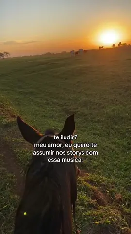 🤷🏽‍♂️#fypシ #foryou #fyp #viral #country #sonhodeamor #zezedicamargoeluciano #fazenda @Zezé Di Camargo @Zezé Di Camargo & Luciano 