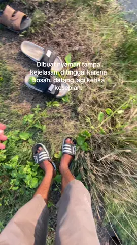 panen kebon gedeh🗿##fyppppppppppppppppppppppp@@B M K I_rehan⚡@@LIYON BOY