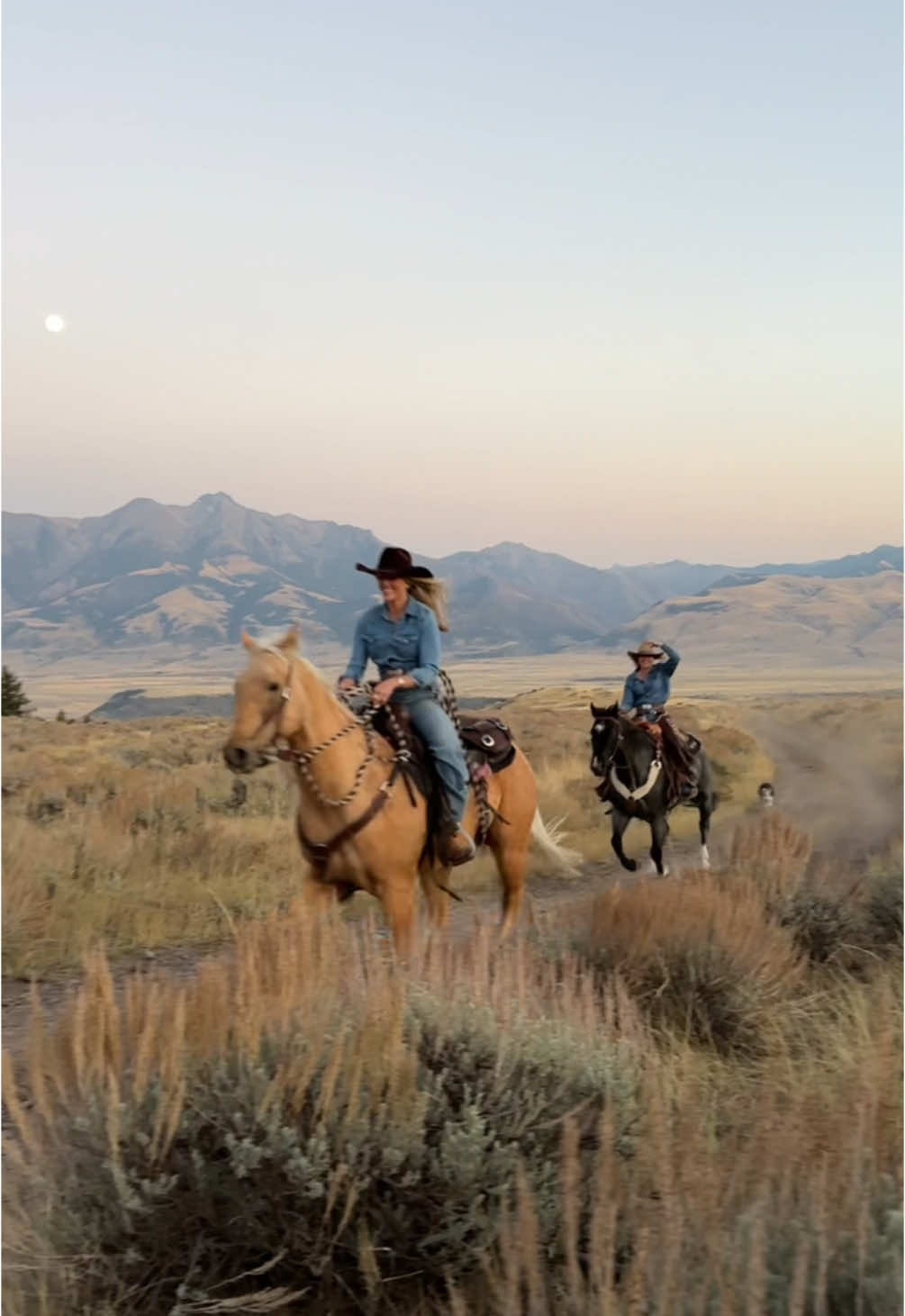 This #montana #cowpoke #fyp #western #autumn #horses 