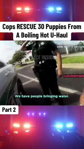 Cops RESCUE 30 Puppies From A Boiling Hot U-Haul #cops #police #copsusa🚔🇺🇸 #policeofficer #foryou 