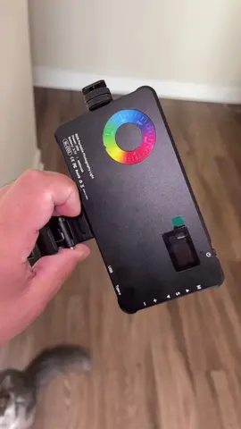 Check out this RGB light! #falldealsforyou #fypシ 