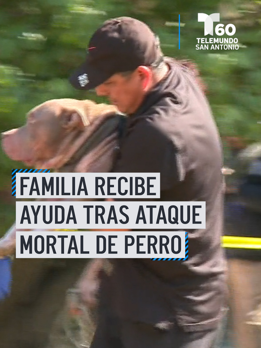 Familia de bebé muerto por ataque de perro en San Antonio prepara su funeral El animal le provocó heridas en la cabeza y la garganta de las que no se pudo recuperar. La historia completa en nuestro portal. #noticias #ataque #ataquedeperros #noticiasensanantonio #sanantonio #texas