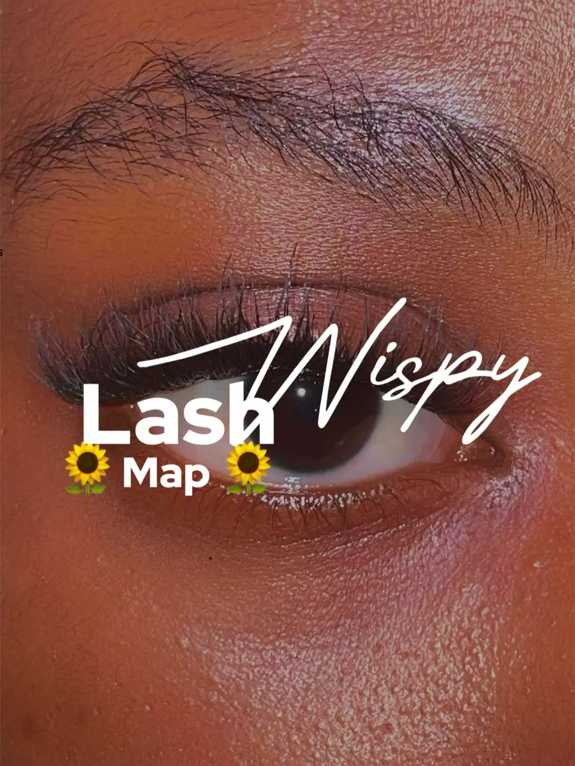 #creatorsearchinsights #lashes #lashclusters #lashclustermap #lashmap #lashmapping #wispylashes @iEnvyLashes 