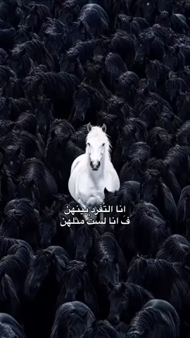 يزهرُ الإنسان بتفاصيله الرَقِيقةِ. 🤍🧿 #جميلة 
