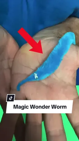 Say hello to my little friend! The Magic Wonder Worm makes an excellent gift for the holidays or any occasion; super amazing magic illusion that is easy to perform! Available now from our TikTok Shop #illusion #pet #worm #magictrick #amazing #magic #trick #fun #gifts #magictricks #magician #fyp 