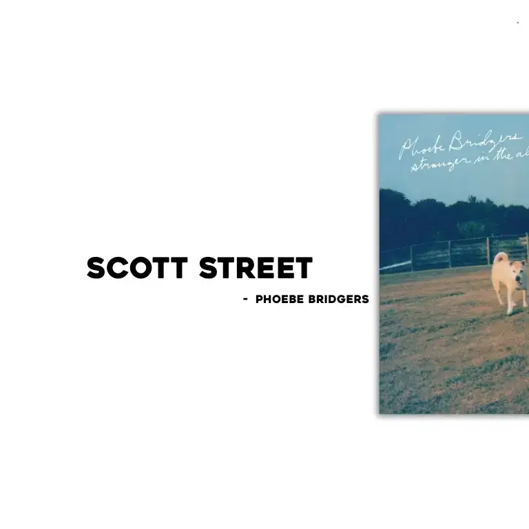 Scott Street - Phoebe Bridgers | #spotifyy09 #scottstreet #phoebebridgers #blowthisup | audio creds: @Dezalyr #waittheydontloveyoulikeiloveyou 