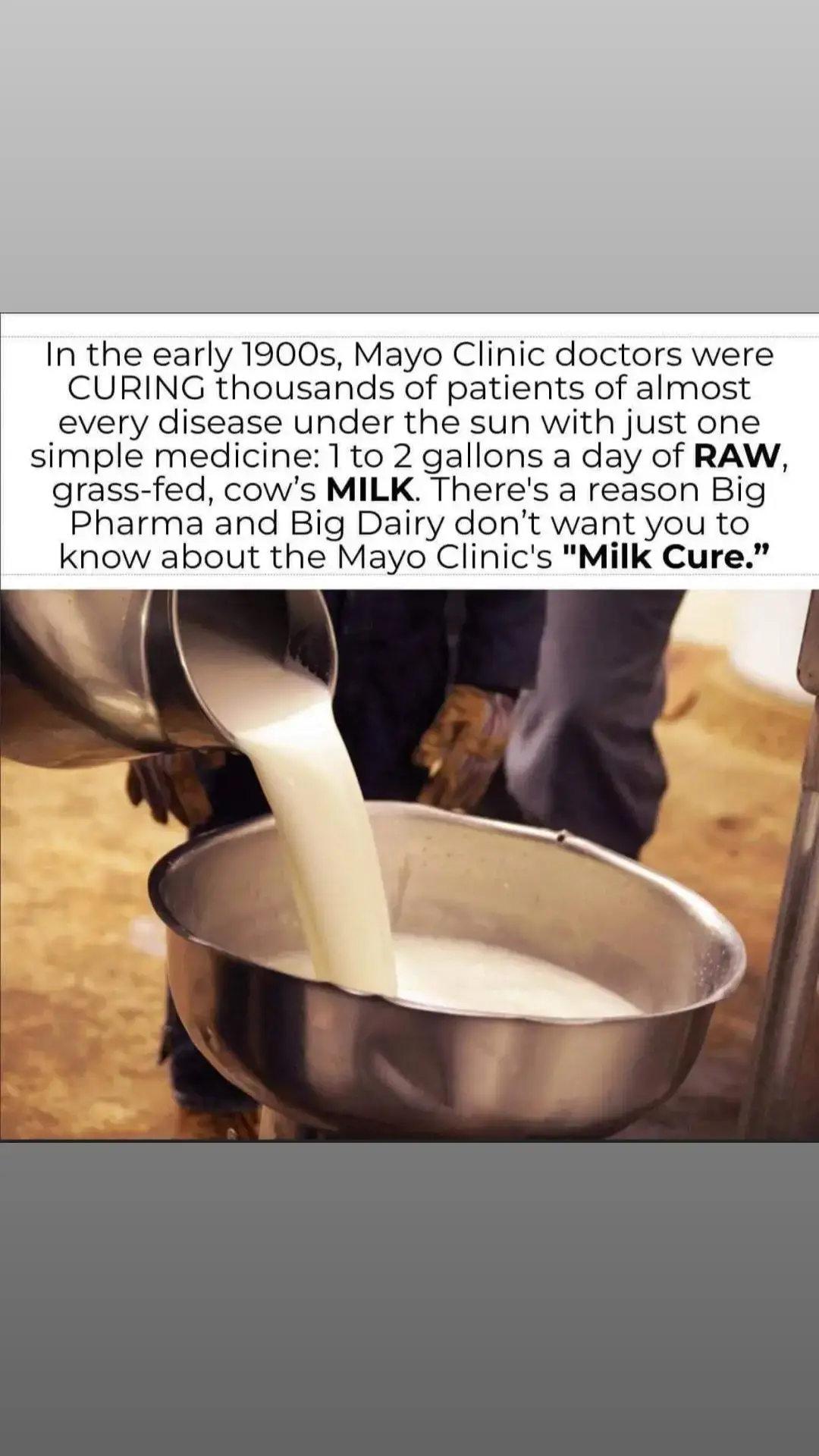 About raw milk… 📍Raw milk is nutrient dense - It’s a great source of calcium, iron, Vitamins A, D & K, phosphorus, zinc, conjugated linoleic acid (CLA), and omega-3 fatty acids, plus many beneficial enzymes and probiotics that are healthy bacteria able to inhibit the growth of undesirable and dangerous organisms in the gut. 📍Raw milk is self digesting - It has all of the enzymes it needs to be digested by humans. If you are lactose intolerant, that means you’re lacking lactase, the enzyme necessary for lactose (the sugar found in milk) breakdown. Raw milk contains lactase! If you enjoy milk and have been avoiding it for this reason, you may find that you are able to have raw dairy products without complication. 📍Raw milk is immune-boosting - It contains immunoglobulins, specifically IgG, that support immune function. In fact, there are multiple studies that have shown raw milk consumption is correlated with improved immune system function. Raw milk has also been correlated with reduced risk of respiratory infections and fevers, as well as reduced risk of asthma and allergies. 📍Raw milk has a rich history in healing - Since ancient times, physicians like Hippocrates, Galen, Pliny and Varro have used raw milk to cure a wide range of diseases. Hippocrates advised tuberculosis sufferers to drink raw milk in quantity. In the Ayurvedic medicine of India, milk is used in the practice of brimhana meaning to “buck up” or nourish the body.  It’s also used in rasayana to rejuvenate the body and in vajikarana, to promote sexual function and fertility. Physicians prescribed raw milk as a gentle laxative, to cool inflammation of ulcerated tissues, and as a galactagogue to increase milk production for the nursing mother.  📍In the U.S., raw milk was used for one hundred fifty years to treat a wide range of conditions and is still used today in some hospitals in European and other countries. Ever since the Industrial Revolution, we’ve been lead to believe that raw milk is unsanitary and unsafe for drinking. With an open and curious mind, you will come to find that is not the truth.