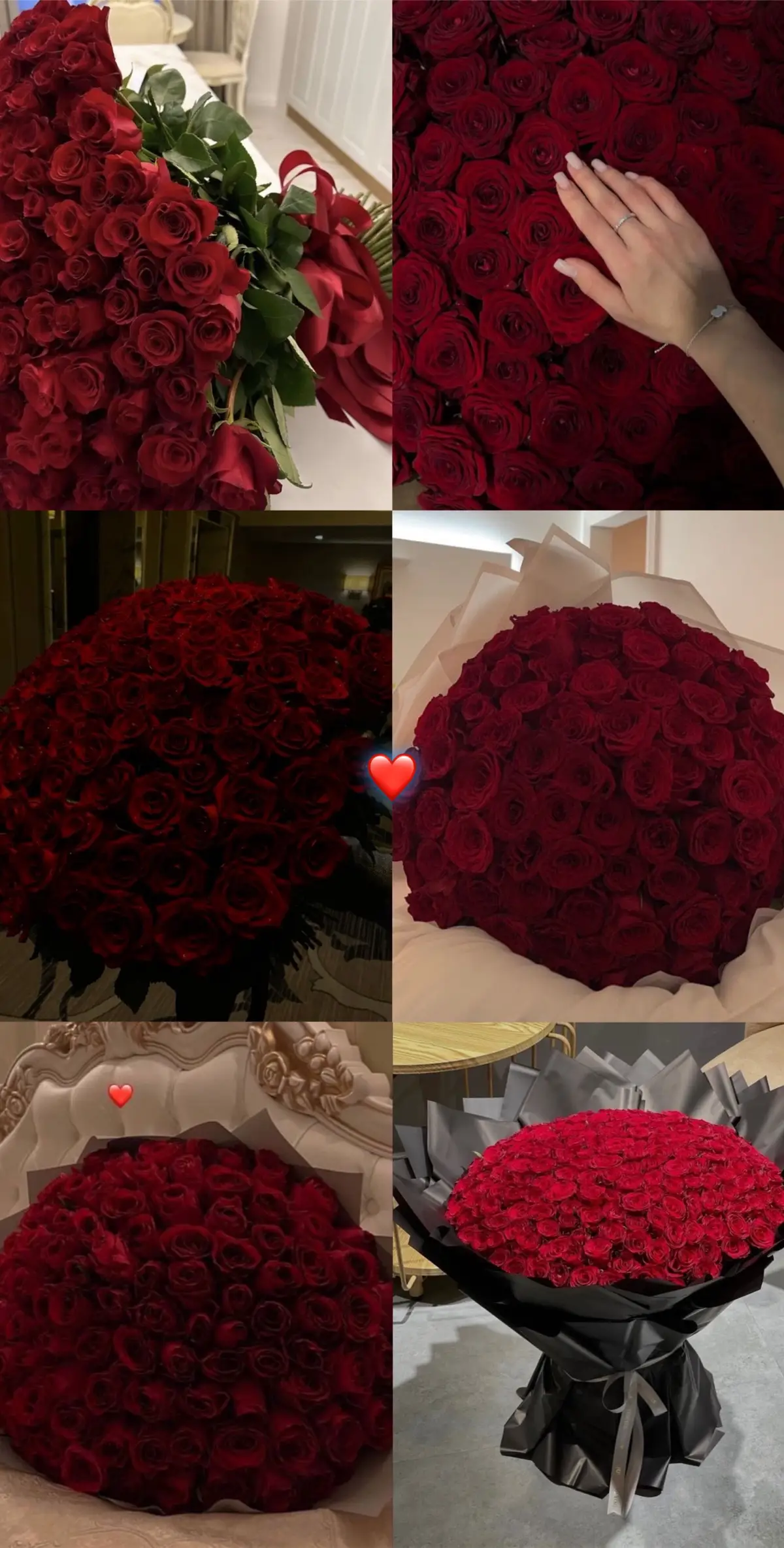 #ROSEN #fürdich #viral #foryou #fyp #fy #blumen #flowers #roses #💐 #❤️ #💙 #🌸 #🖤 #🌺 