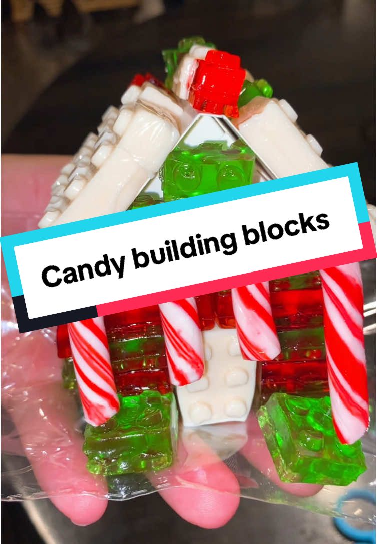 No mess and easy clean up! #buidling #buildingblocks #christmas #present #presentideas #fun #fy #fyp #house #candyhouse #statues 