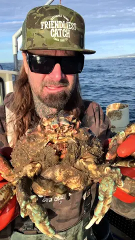 Friendliest Catch, Sustainable & Humane. You know how we roll! #friendliestcatch #crab #deepseacreatures #fishing #rockhold #seafood #eel 