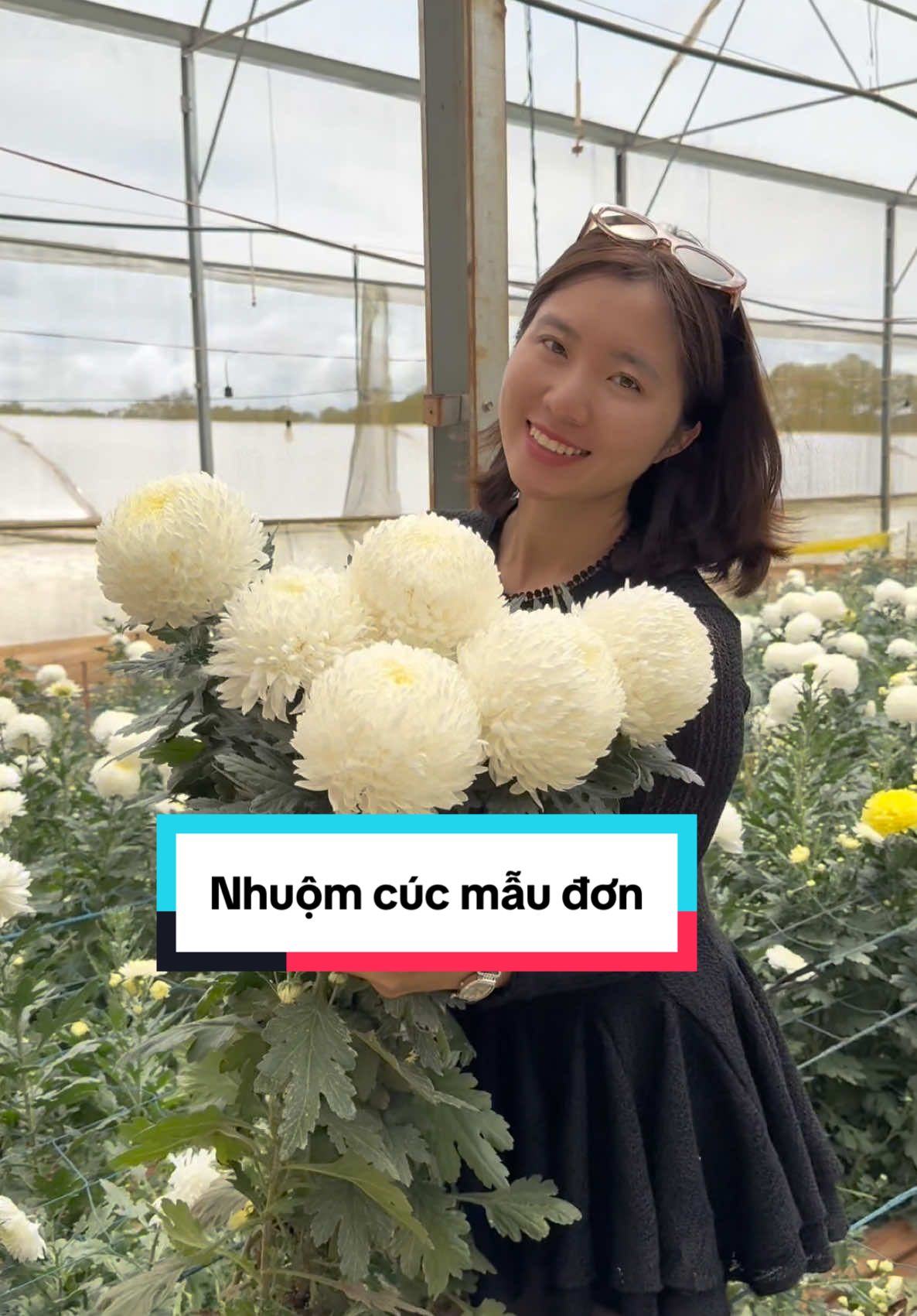 Thăm vườn cúc mẫu đơn rồi hái 1 ít về nhuộm nè mn. Nhuộm hoa rất là đơn giản, mn cứ thử mấy chai màu Bambi về tự nhuộm cho tươi nhà tươi cửa nha!!!