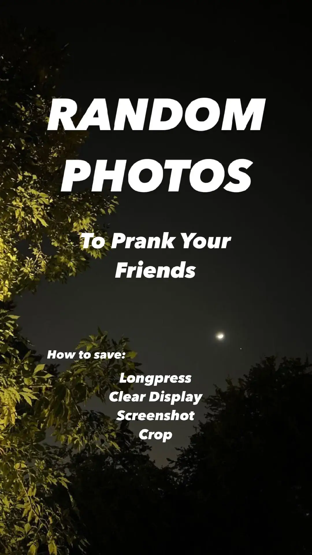 random!#random #fyp #followers #prank #sunset #photomagic #prankfriends #randomphotos #rides #fypviral #fypシ゚viral 