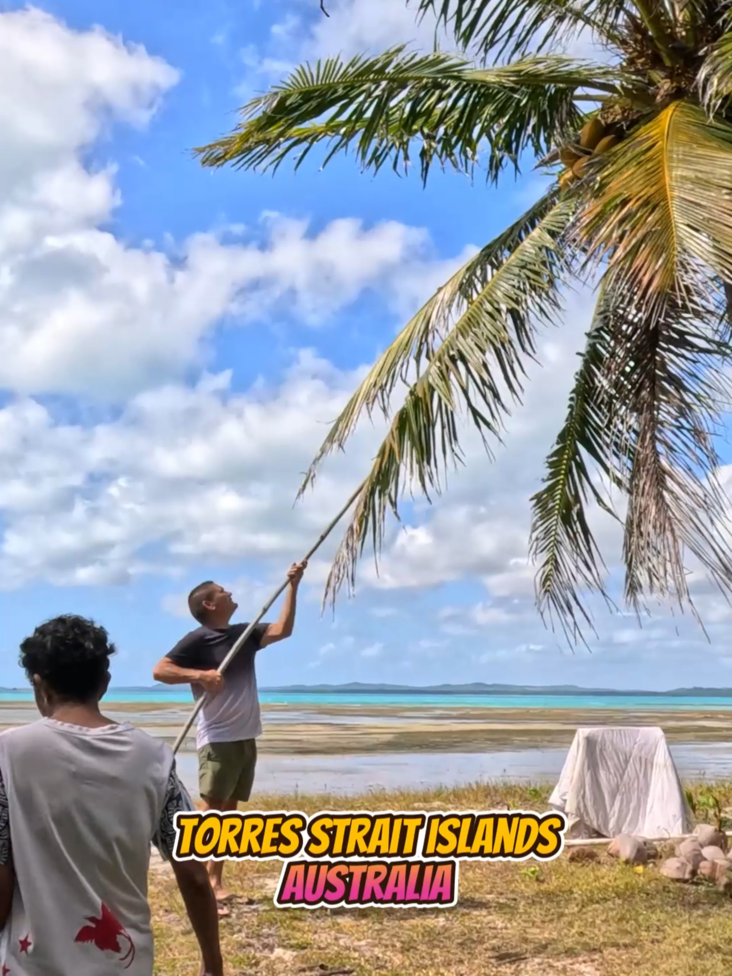 Picking Coconuts🥥 Island style🌴 @vintagefoodfarm #farnorthqueensland #fun #fnq #tropics #island #beautiful #people #vlog #travel #explore #discover #australia #firstnations #cairns #indigenous #harvesting #vintagefoodfarm #coconuts #traditional #picking #family #love #beach #queensland #qld #torresstrait #torresstraitislands #fishing #food