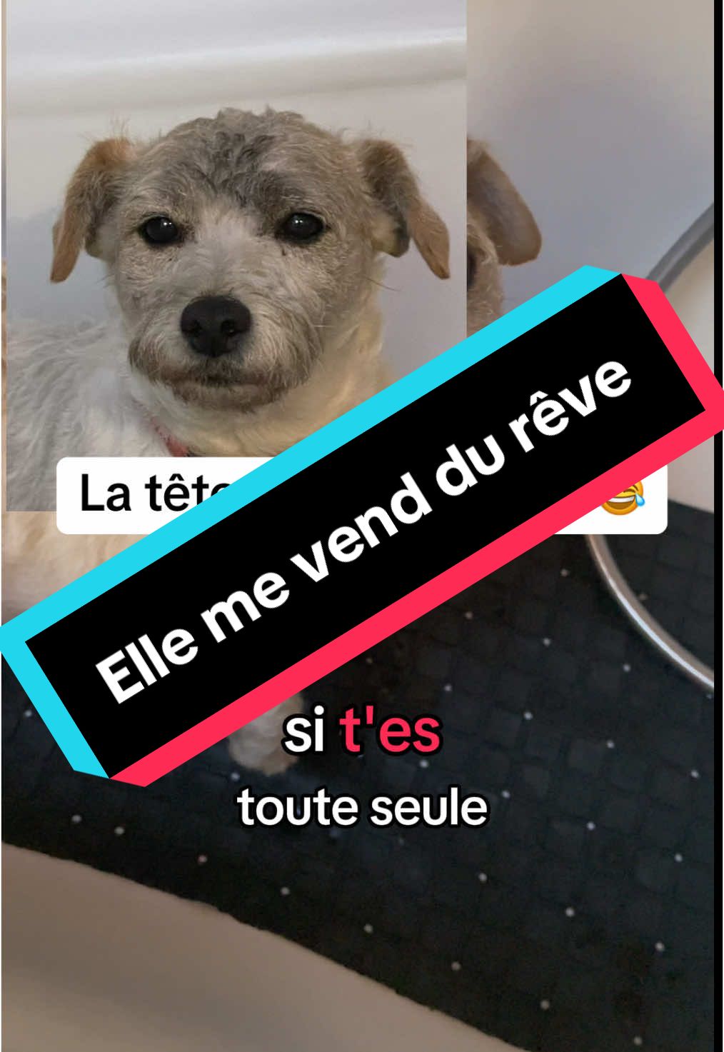 Alors mon astuce de la Bétadine savon tu la connaissais ?  #chien #garage #graisse #salienparati #betadine #savon #nettoyage #blanc 