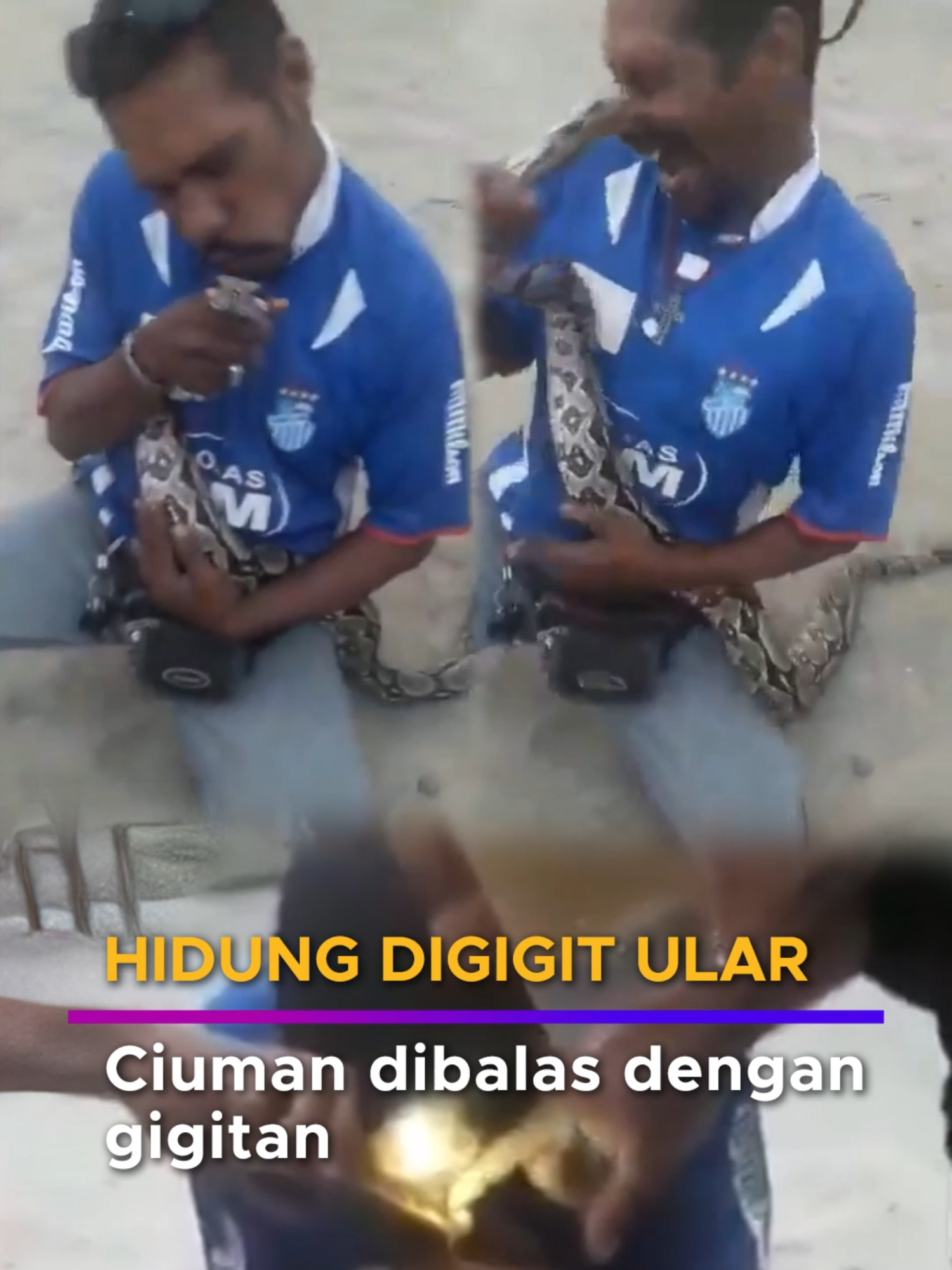 Mungkin ular berkenaan geram kerana dipermainkan.. Ular boa dianggap tidak berbisa, tetapi ia boleh menyebabkan jangkitan jika luka tidak dirawat. #BuletinTV3 #beritaditiktok #LuarNegara #UlarGigitHidung