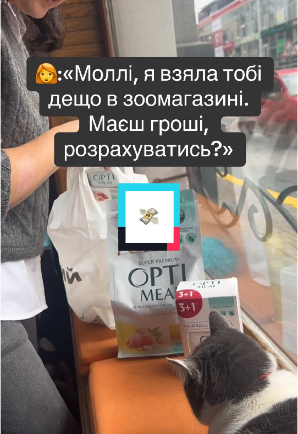 І так завжди 🤷‍♀️ #catcafe #іванофранківськ