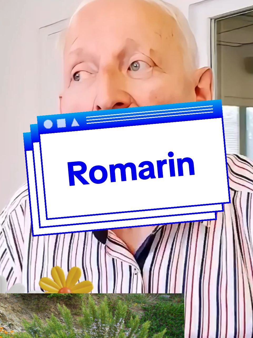 Le romarin soigne le foie et de nombreuses maladies#santé #Conseil #doctor#romarinho#huile #medcine #conseils #santenaturelle #médico #fouryourpage #fleur #medcine @le Docteur @le Docteur @le Docteur #medcine #conseils #Romarin #santé #maladie 