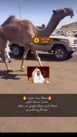 العوده ياهل التيك توك 😉😉💯