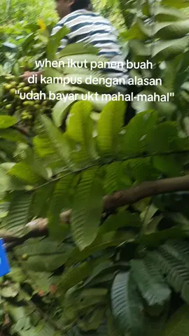 #uinsuskariau #fyp #fypシ #fyp 
