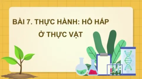 Hehe 😋 #yeusinhhoc #thinghiem  #hohapothucvat#sinhhoc11ketnoitrithuc 