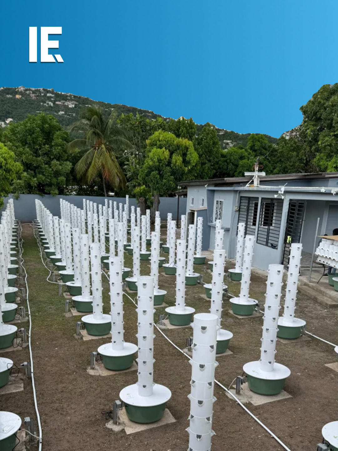 Vertical farming is a 21st century way of maximizing agricultural output in a small space. It uses cutting-edge technology like aeroponic towers as as-needed watering systems. That lets people grow food for their own use and for sale in much smaller 