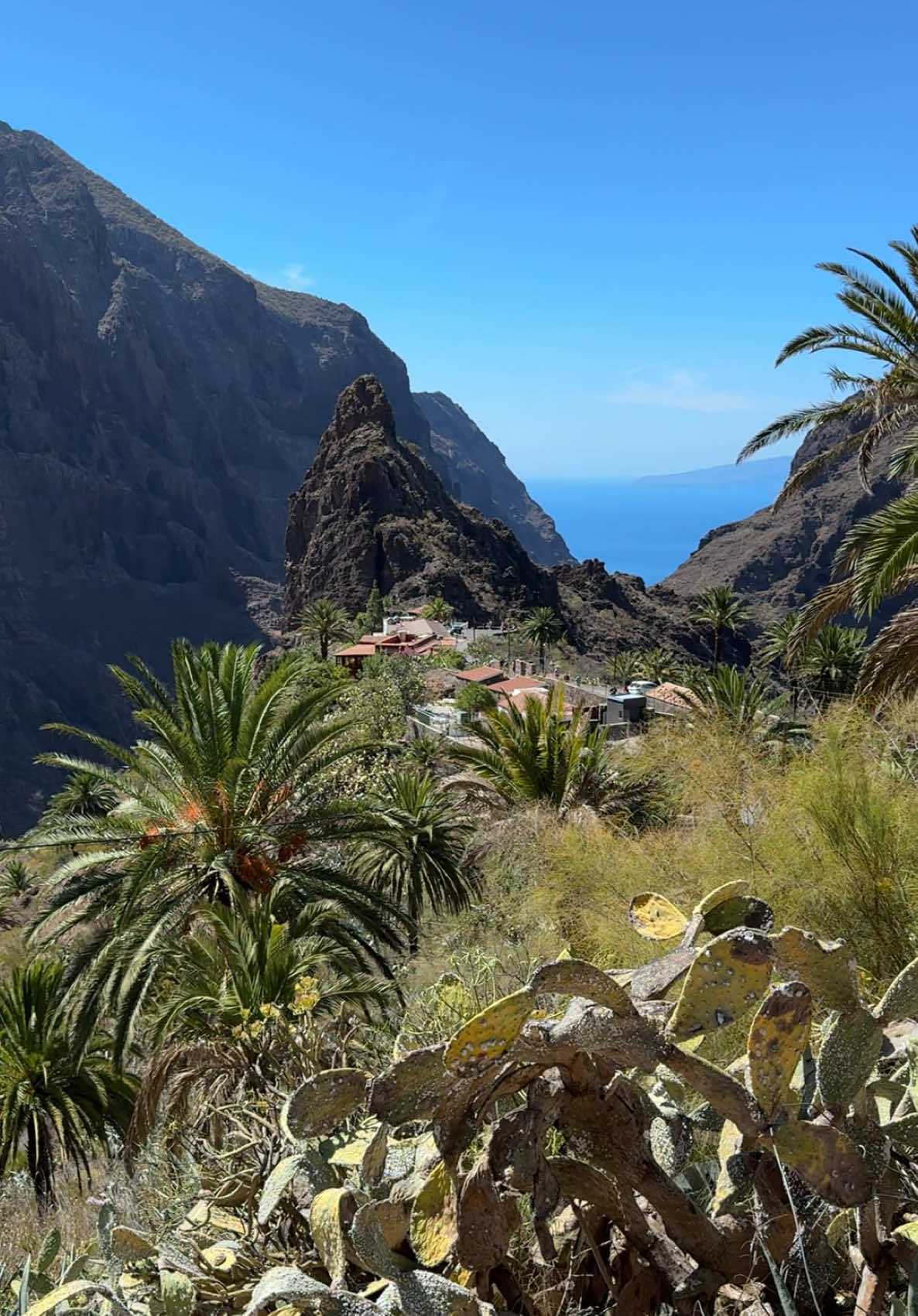 📍Masca, Tenerife 🏞️ #viwes #tenerife🇮🇨 #movie #mountain #nature #tik_tok #video 
