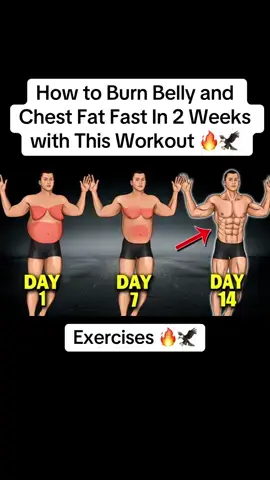 How to Burn Belly and Chest Fat Fast In 2 Weeks with This Workout #Fitness #workout #absworkout #musculation #bellyfat #sixpack 