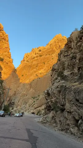 سه رته كى به مؤ 😍#darbandixan ##sartakebamo_darbandikhan #fypシ゚viral #foryourpage #foryou #كسبلور_فولو_لايك 