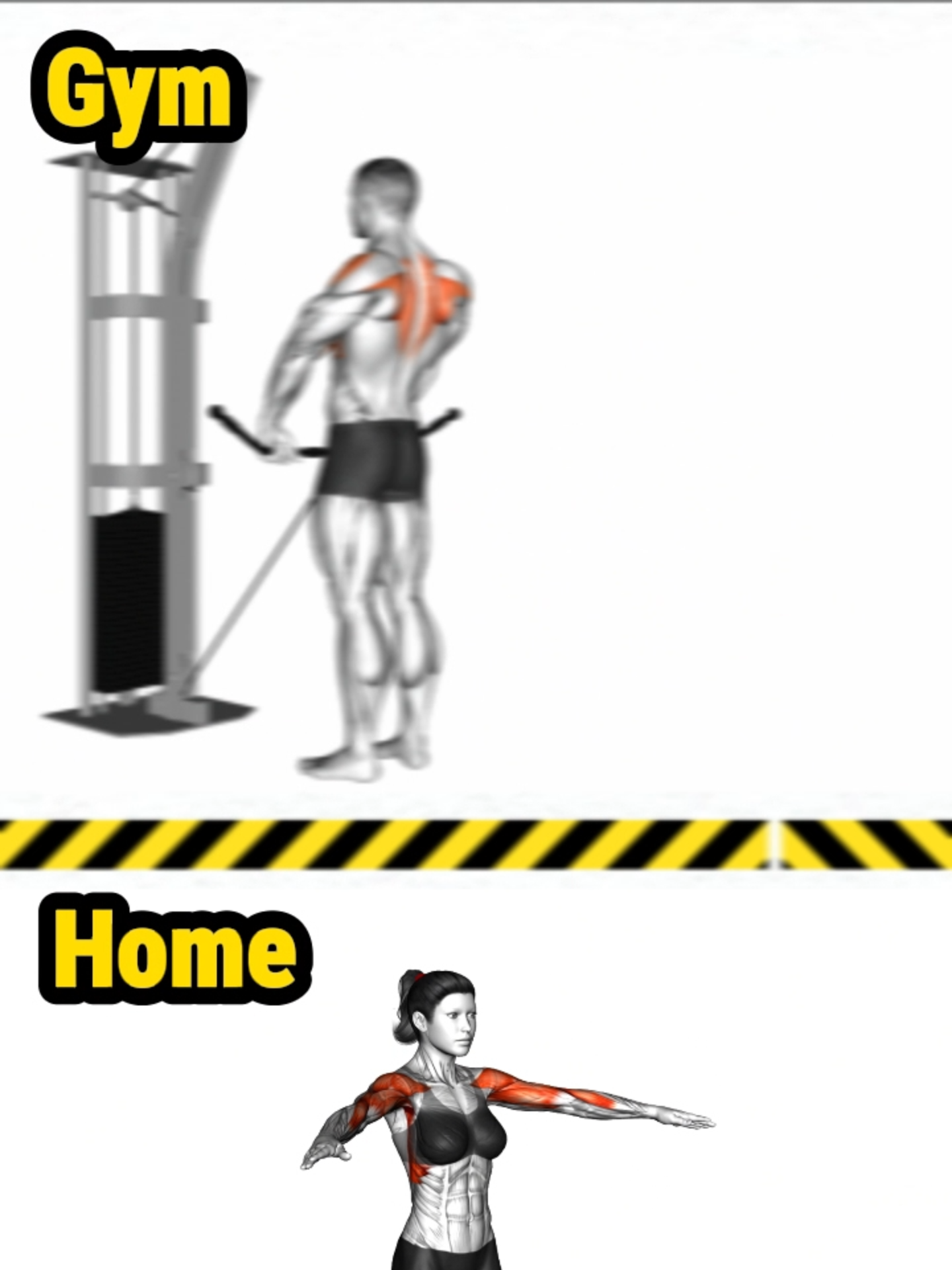 Home VS Gym exercises for shoulder, biceps, glute, , abs and back #gym #backexercise #fitness #chestworkout #workout