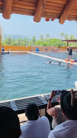 Delfinario ixtapa Zihuatanejo 🐬☺️