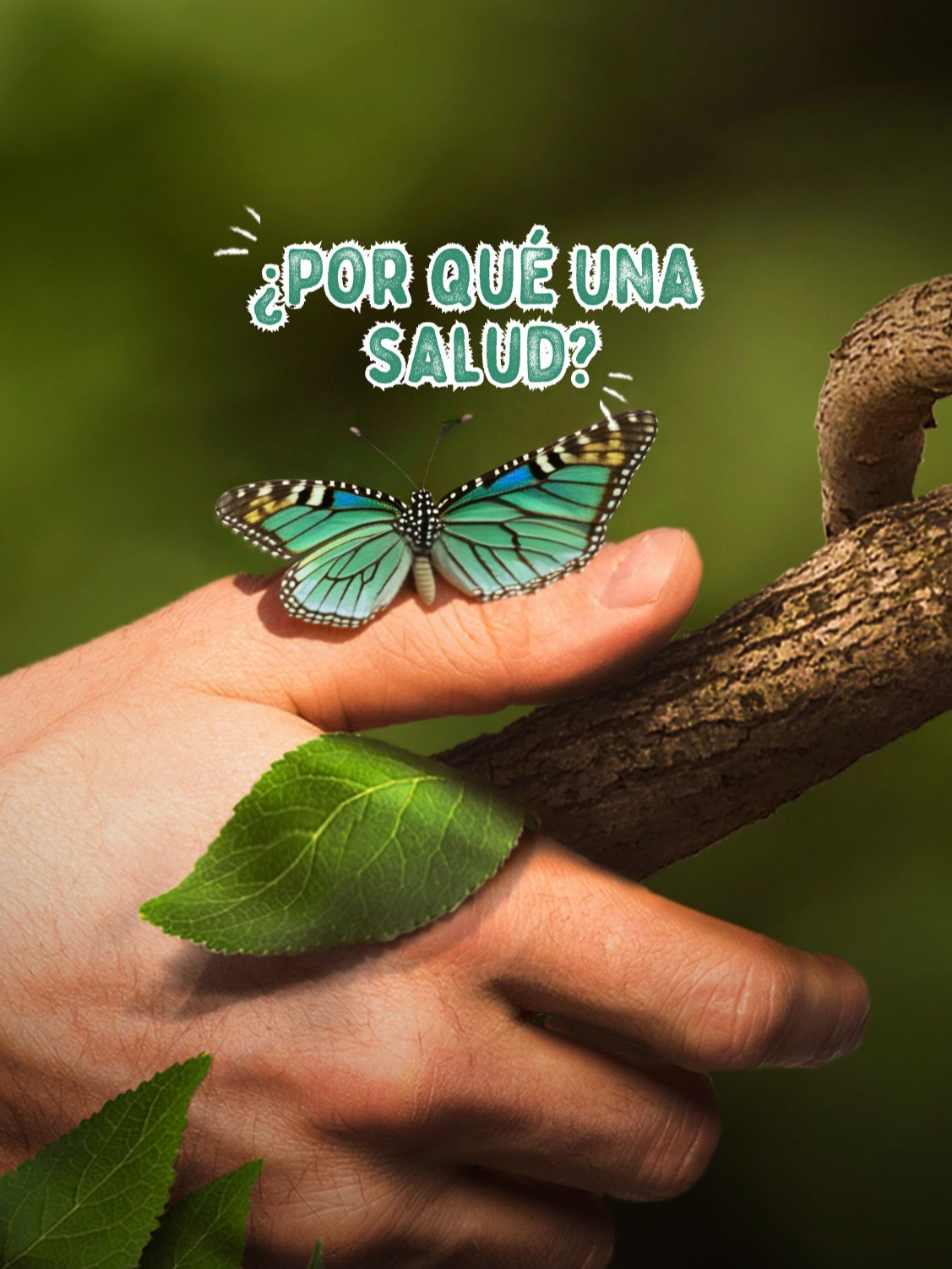 🌍🐾 La salud de los humanos, los animales y el medio ambiente están conectadas. La pandemia nos enseñó lo vulnerables que somos, y por eso es crucial adoptar el enfoque de Una Salud o One Health. Esto significa que cuidar la salud de nuestras mascotas, los animales en general y el entorno en el que vivimos es esencial para prevenir futuras pandemias. Prestar atención a las enfermedades zoonóticas y garantizar que humanos y animales estén sanos es clave para un futuro más seguro. #Consejo #PanchoCavero #UnaSalud #OneHealth #CuidadoAnimal #SaludGlobal #ambiente #prevencion #concienciaambiental