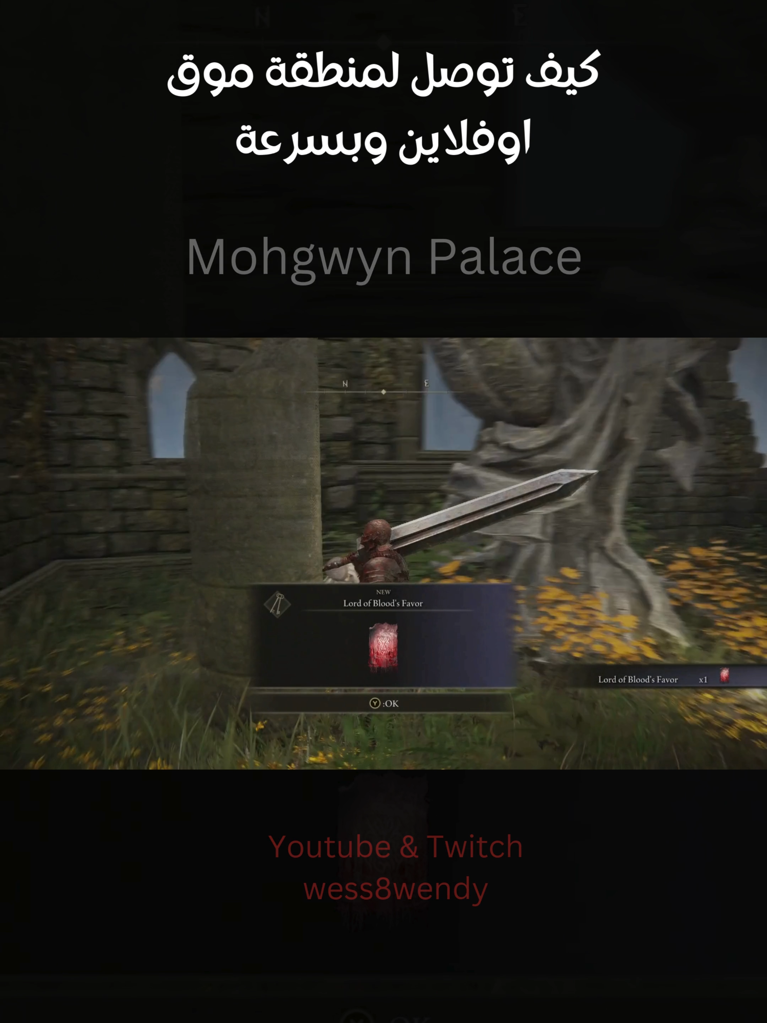 mohg lord of blood Mohgwyn Palace مكان موق  #fyp #gaming #eldenring