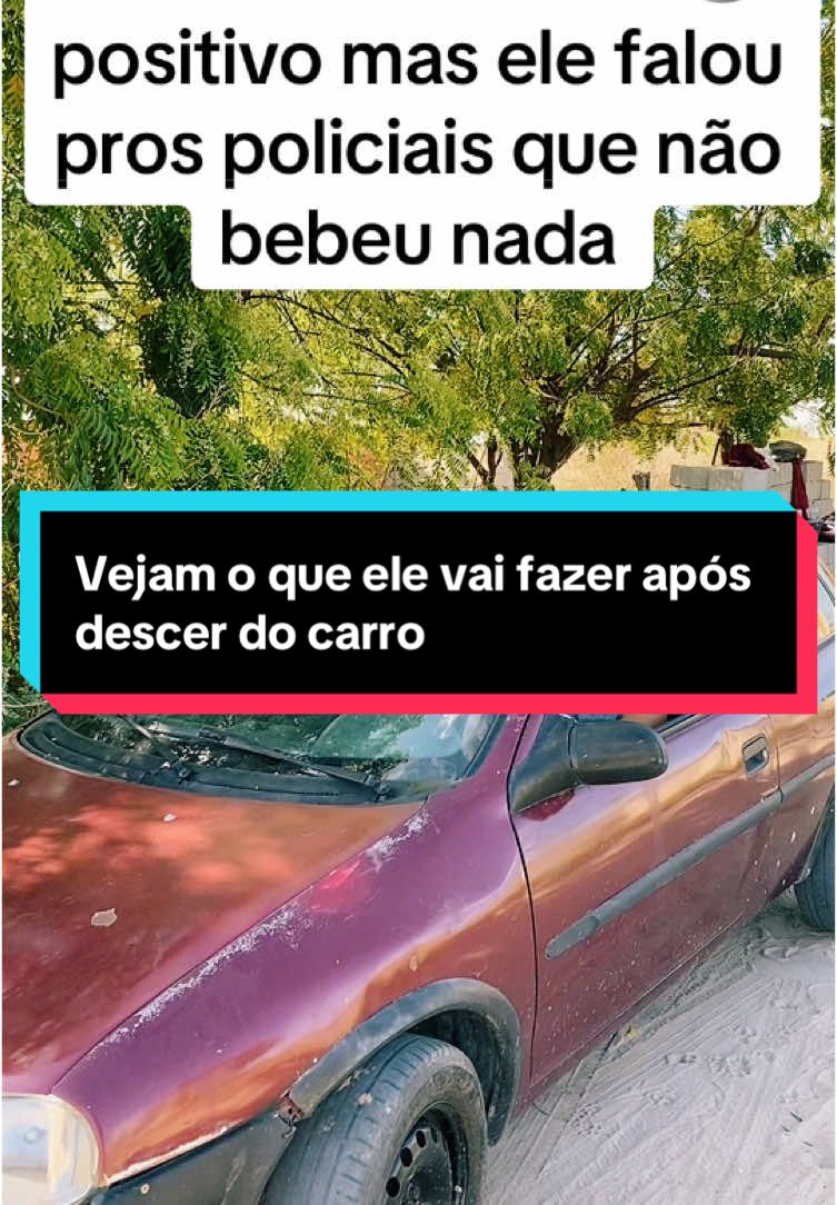 Vejam o que ele vai fazer após descer do carro#viral #viralizando #simulação #sejacriador #noticias 