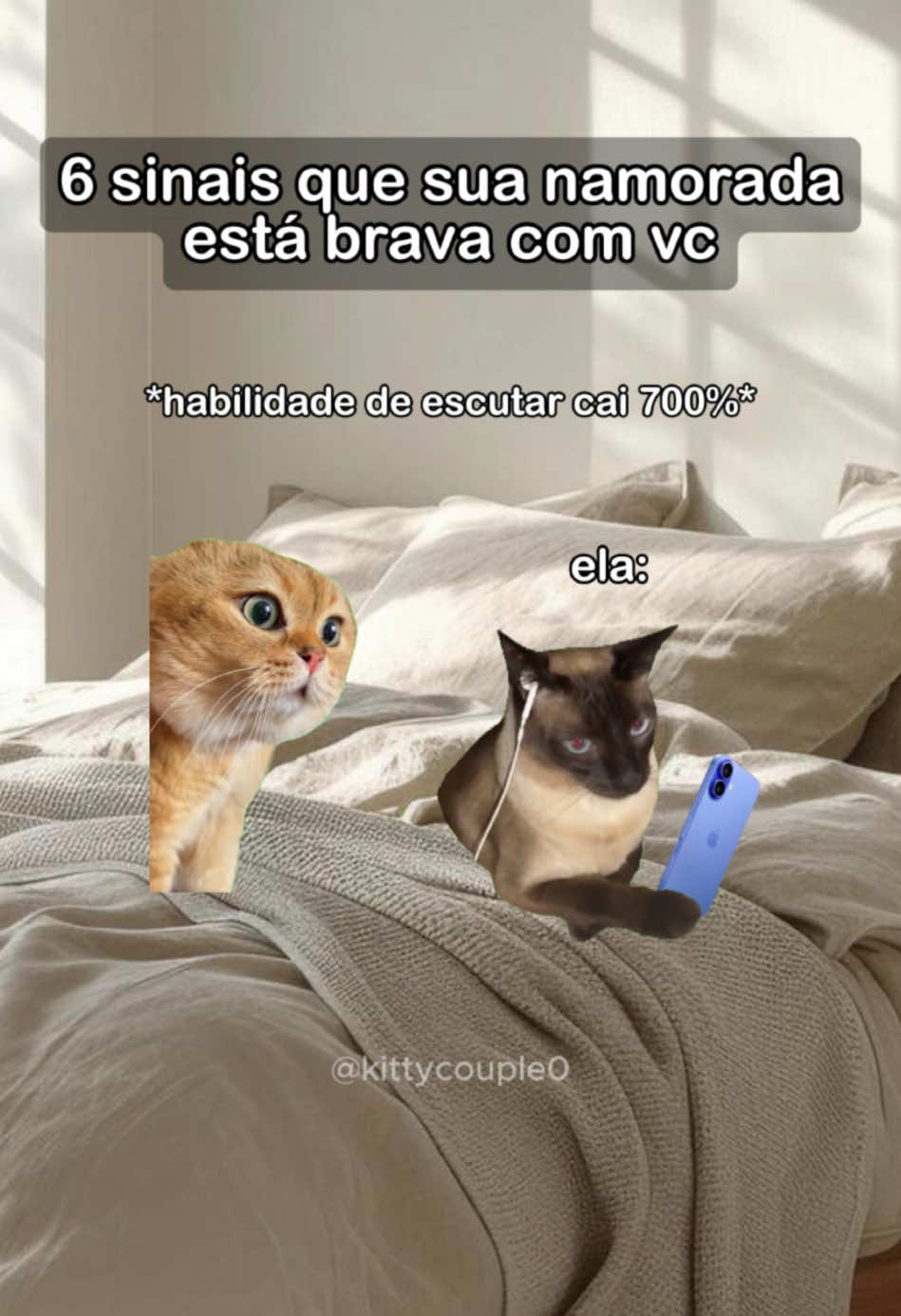 Já manda pra ele ficar esperto!! 😹😹 #gatos #gatinhos #memes #casal #foryou