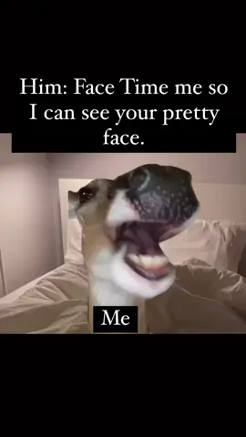 Oh hello 👋😂  #explore #fyp #funnyvideos #marriage #marriedlife #husbandandwife #couplecomedy #facetime #relatable 