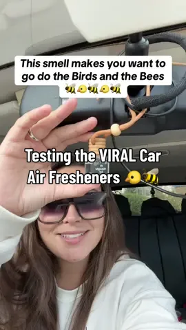 Grab one in the orange cart above!! I got midnight ice and its a manly smell 🐝🐤🐝 #carairfreshener #carairfresheners #airfreshener #carscents #scentedairfreshener #carfreshenerhack #carfreshies #carfreshie #manlysmell #tiktokshopviralproducts #tiktokshopviral 