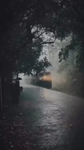 Rainy days and a passing train 🌧️🚂 The perfect mix of calm and motion. #RainAmbience #TrainSounds #RelaxingVibes #fyp 